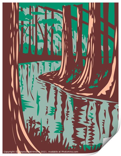 Cedar Creek at the Congaree National Park in Central South Carolina United States of America WPA Poster Art Print by Aloysius Patrimonio