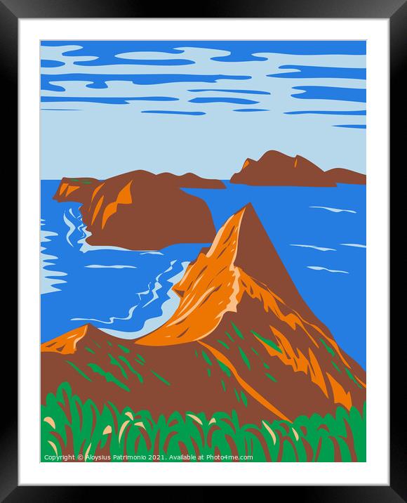 Channel Islands National Park Off the Southern California Coast United States WPA Poster Art Framed Mounted Print by Aloysius Patrimonio