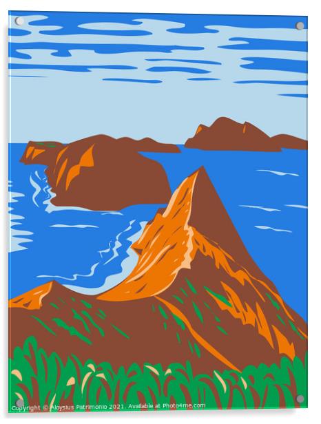 Channel Islands National Park Off the Southern California Coast United States WPA Poster Art Acrylic by Aloysius Patrimonio