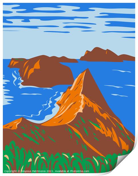 Channel Islands National Park Off the Southern California Coast United States WPA Poster Art Print by Aloysius Patrimonio