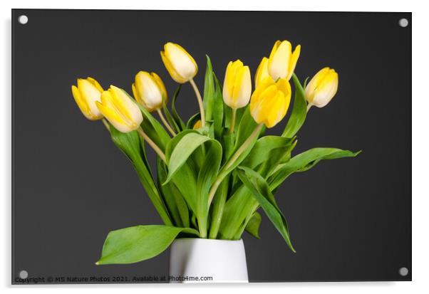 Still life of yellow tulips in a white vase Acrylic by Mike C.S.