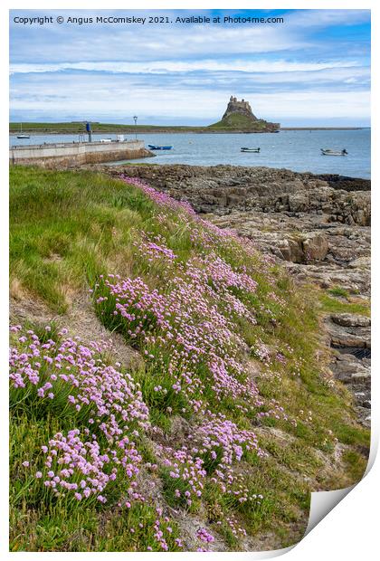 Sea thrift on shoreline, Holy Island Print by Angus McComiskey