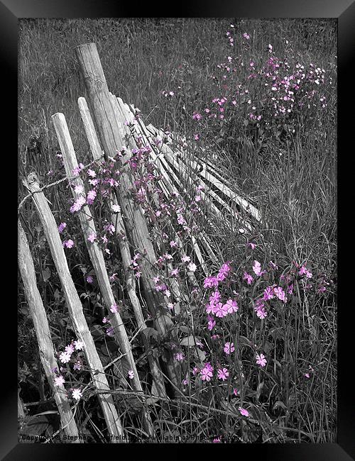 Fallen Fence Framed Print by Stephen Wakefield
