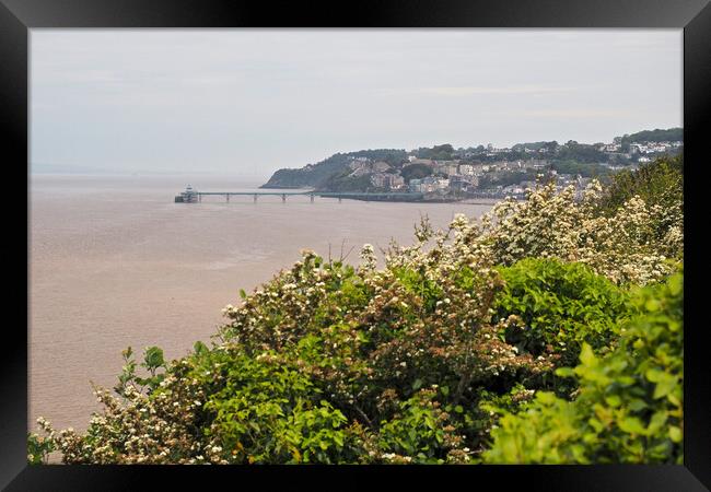 Clevedon Pier Framed Print by mark humpage