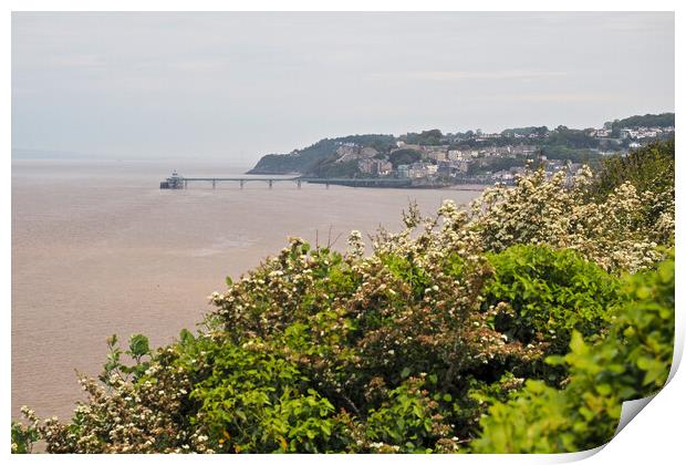 Clevedon Pier Print by mark humpage
