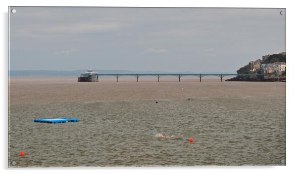 Clevedon Pier overlooking Marine Lake Acrylic by mark humpage