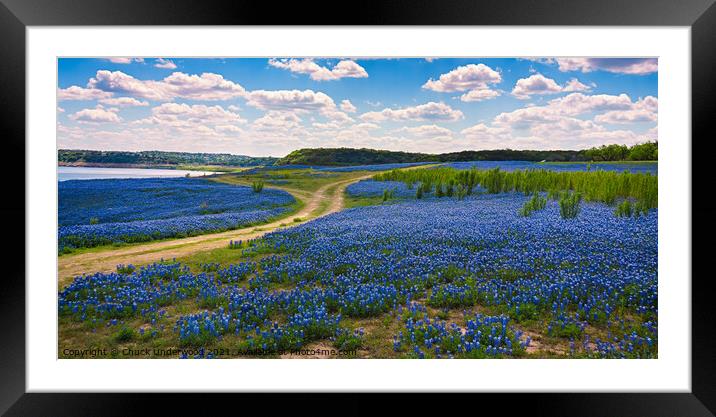Texas Bluebonnets panorama Framed Mounted Print by Chuck Underwood