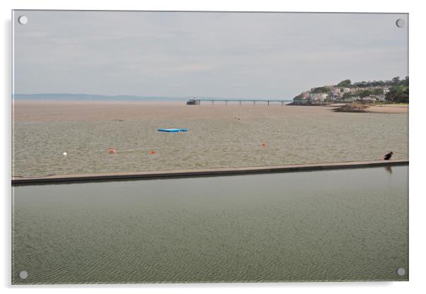 Clevedon Pier, Somerset overlooking Marine Lake Acrylic by mark humpage