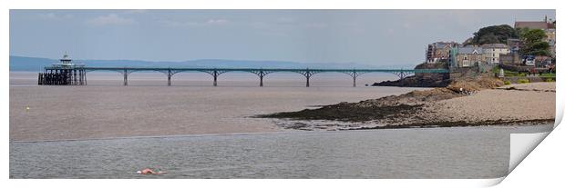 Clevedon Pier panorama, Somerset overlooking Marine Lake Print by mark humpage