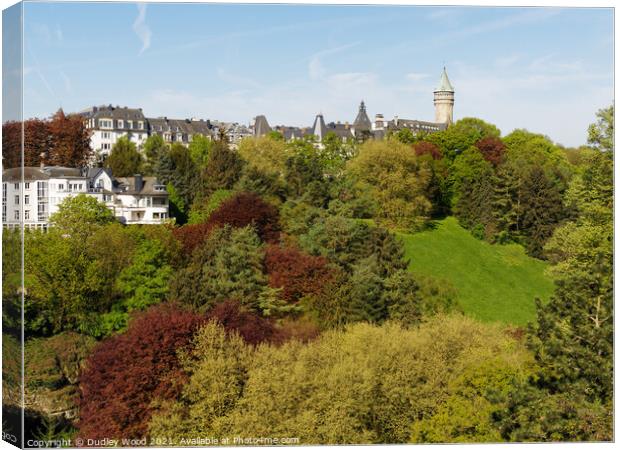 Enchanting Luxembourg in Spring Canvas Print by Dudley Wood