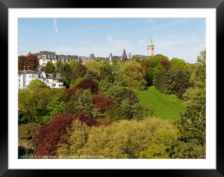Enchanting Luxembourg in Spring Framed Mounted Print by Dudley Wood