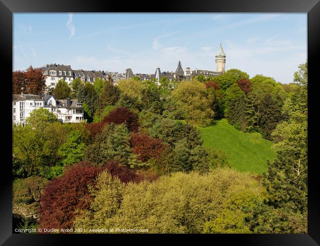 Enchanting Luxembourg in Spring Framed Print by Dudley Wood