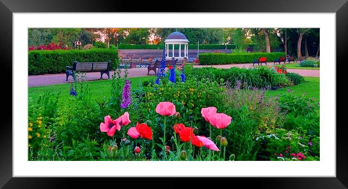 Summer in Stanley Park Framed Mounted Print by Michele Davis