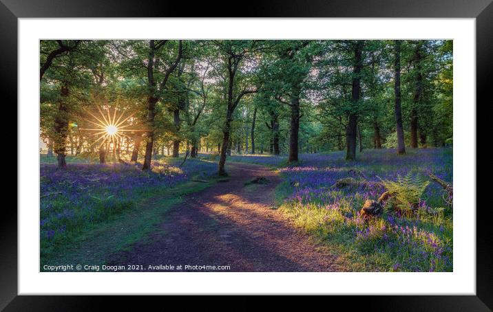 Bluebell Sunrise Framed Mounted Print by Craig Doogan