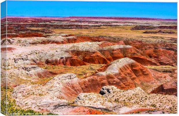 Tawa Point Painted Desert Petrified Forest National Park Arizona Canvas Print by William Perry