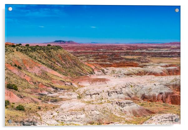 Tawa Point Painted Desert Petrified Forest National Park Arizona Acrylic by William Perry