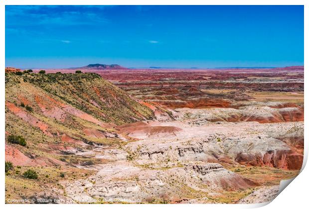 Tawa Point Painted Desert Petrified Forest National Park Arizona Print by William Perry