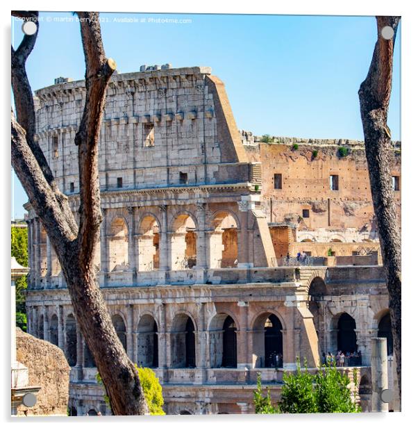 Roman Colosseum Rome Italy Acrylic by martin berry