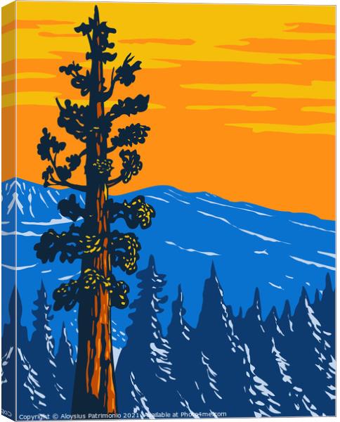 The Boole Tree Giant Sequoia in Converse Basin Grove of Giant Sequoia National Monument in Sierra Nevada Fresno County California Usa WPA Poster Art Canvas Print by Aloysius Patrimonio