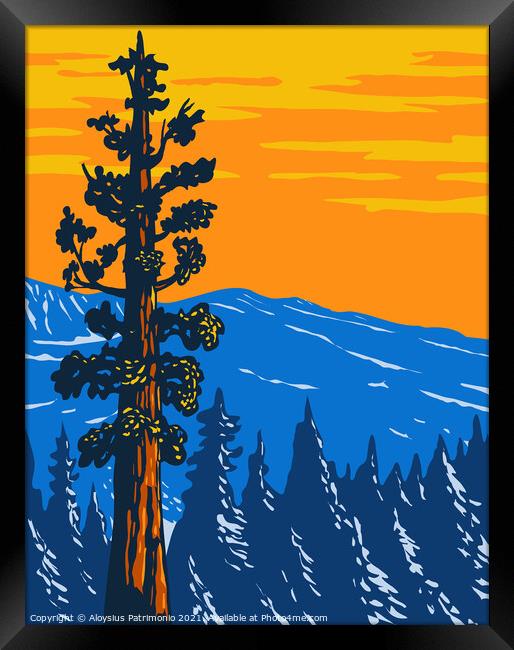The Boole Tree Giant Sequoia in Converse Basin Grove of Giant Sequoia National Monument in Sierra Nevada Fresno County California Usa WPA Poster Art Framed Print by Aloysius Patrimonio