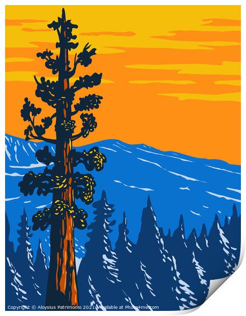 The Boole Tree Giant Sequoia in Converse Basin Grove of Giant Sequoia National Monument in Sierra Nevada Fresno County California Usa WPA Poster Art Print by Aloysius Patrimonio
