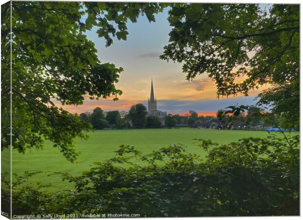 Summer sunset at Norwich Cathedral Canvas Print by Sally Lloyd