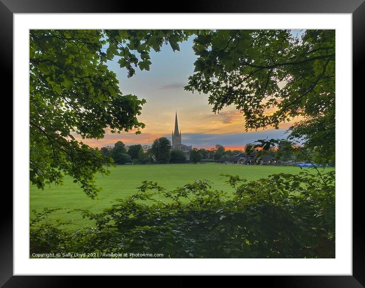 Summer sunset at Norwich Cathedral Framed Mounted Print by Sally Lloyd