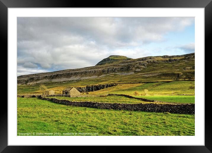 Ingleborough peak Yorkshire Dales  Framed Mounted Print by Diana Mower
