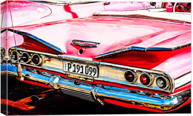 Vintage Pink Bumper Canvas Print by Janie Pratt