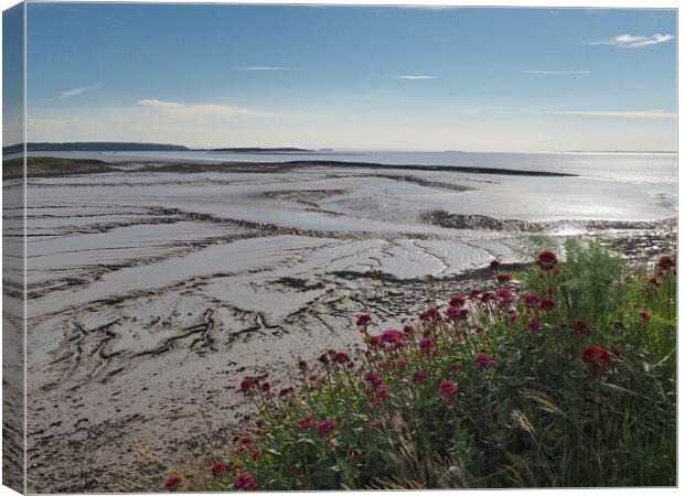 Clevedon Somerset low tide mud Canvas Print by mark humpage