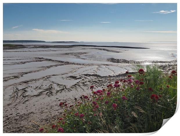 Clevedon Somerset low tide mud Print by mark humpage