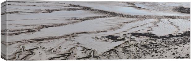Low tide mud at Clevedon, Somerset Canvas Print by mark humpage