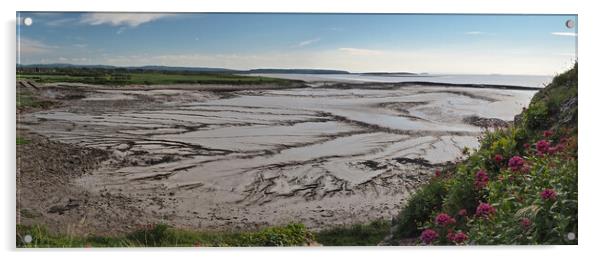 Clevedon coast at low tide looking from Poets Walk Acrylic by mark humpage