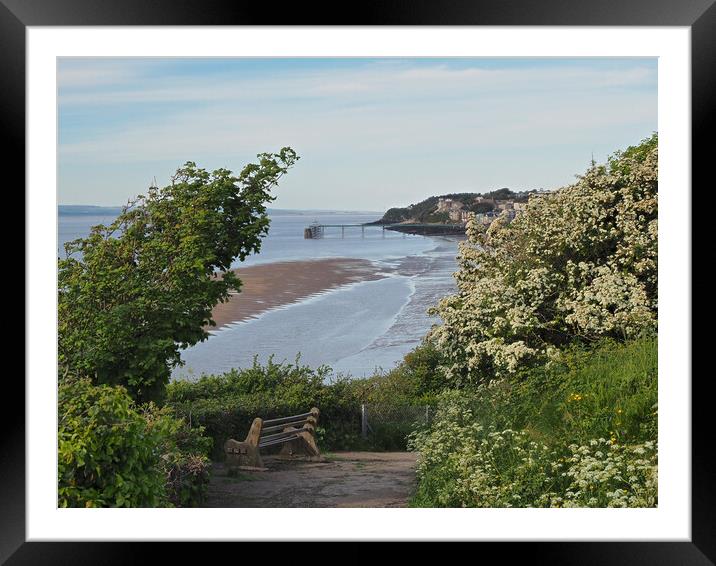 Clevedon Pier through trees on Poets Walk Framed Mounted Print by mark humpage