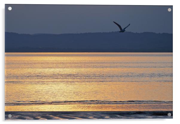 Bird flying in golden Sunset over water at Clevedon, Somerset. Acrylic by mark humpage