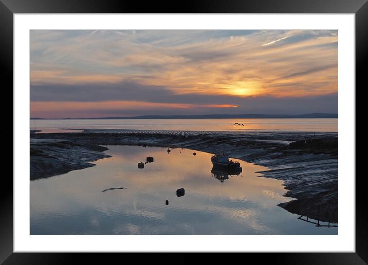 Bird flying in golden Sunset over water at Clevedon, Somerset. Framed Mounted Print by mark humpage