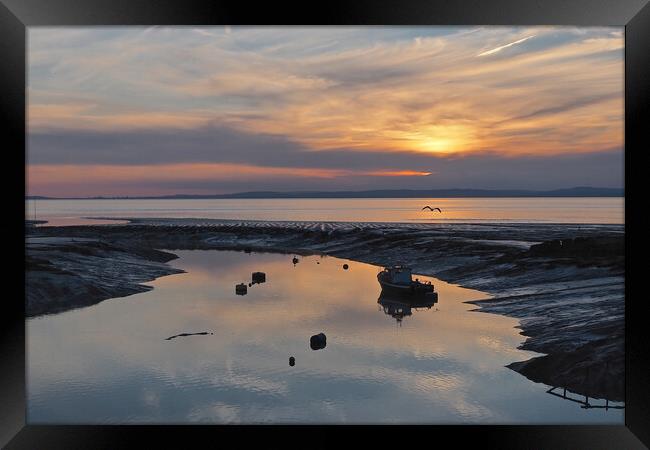 Bird flying in golden Sunset over water at Clevedon, Somerset. Framed Print by mark humpage