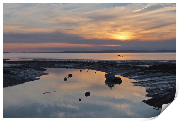 Bird flying in golden Sunset over water at Clevedon, Somerset. Print by mark humpage