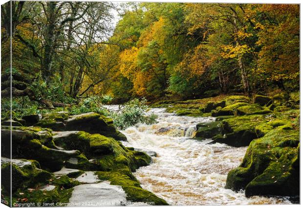 The Dramatic and Dangerous Strid Rapids Canvas Print by Janet Carmichael