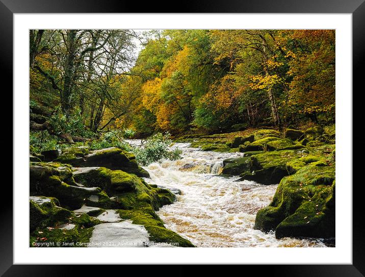 The Dramatic and Dangerous Strid Rapids Framed Mounted Print by Janet Carmichael