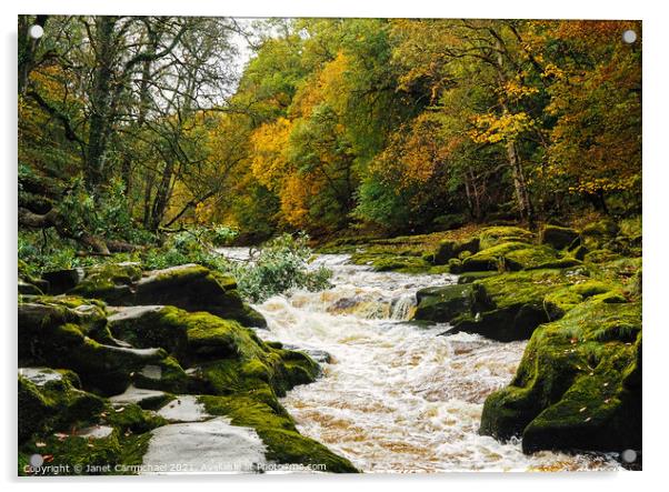 The Dramatic and Dangerous Strid Rapids Acrylic by Janet Carmichael