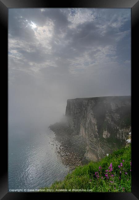 Bempton Cliffs in the Mist Framed Print by Dave Harbon