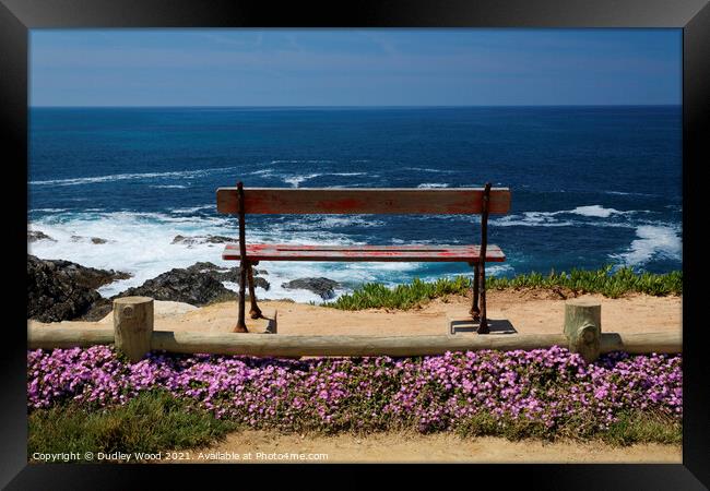 Bench with sea view Framed Print by Dudley Wood