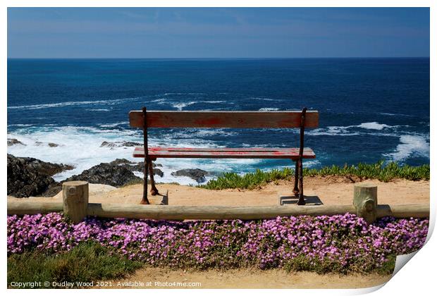 Bench with sea view Print by Dudley Wood