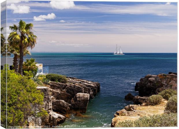 White yacht under sail Canvas Print by Dudley Wood