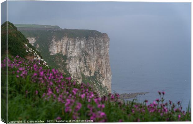 Bempton Cliffs and Red Campion Canvas Print by Dave Harbon