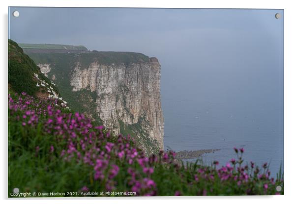Bempton Cliffs and Red Campion Acrylic by Dave Harbon
