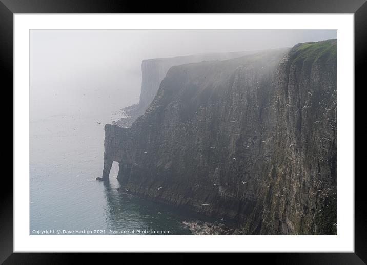 Bempton Cliffs Framed Mounted Print by Dave Harbon
