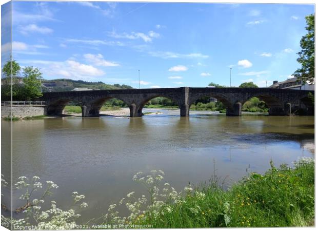 Bridge over river wye Canvas Print by Les Schofield