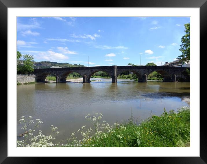Bridge over river wye Framed Mounted Print by Les Schofield